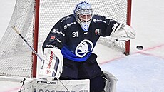 Plzeský branká Nick Malík.