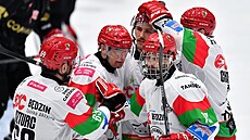 Hokejisté polského týmu Zag��bie Sosnovec se radují z gólu.