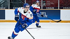 Slovenský úto�ník Dalibor Dvorský b�hem utkání se �védskem.