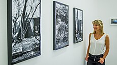Výstava fotografií Libu�e Jarcovjákové v roce 2021 v �eských Bud�jovicích (19....