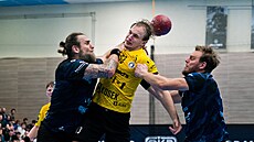 Lovosice, 21. 12. 2024, extraliga házenká, Lovci Lovosice - SKKP Handball...