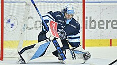 Liberecký branká� Daniel Král