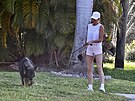 Modelka Gisele Bundchenová se svým psem na dovolené. Nikdy necestuje bez n�j....
