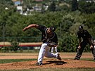 Baseballov� nadhazova� Juan Jaime (vlevo) v dresu Drak� Brno p�i z�pase �esk�...