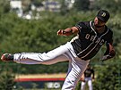 Baseballov� nadhazova� Juan Jaime (vlevo) v dresu Drak� Brno p�i z�pase �esk�...