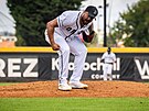 Dominik�nsk� baseballista Juan Jaime zanechal za dv� sezony v dresu brn�nsk�ch...