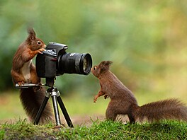 A témata s fotoaparátem lákají i dal�í fotografy, nap�íklad Mika Seutera.