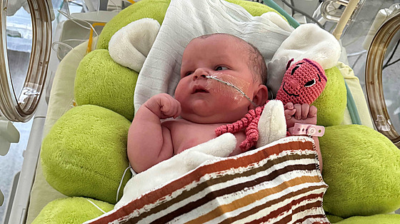 Natálka byla prvním miminkem narozeným ve Zlínském kraji v roce 2025. Pila na...