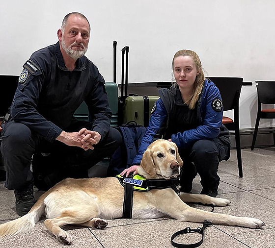 Britská policie p�i hledání ve �pan�lsku poh�e�ovaném Johnu Georgeovi z...