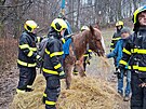 Kobyla spadla ve Velk Polomi na zamrzlm svahu, na nohy j pomohli hasii se...