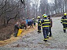 Kobyla spadla ve Velk Polomi na zamrzlm svahu, na nohy j pomohli hasii se...