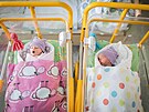 Dvojtka Sra a Matou se ve zlnsk porodnici narodila 2. ledna 2025. (leden...