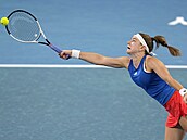 Karolína Muchová se natahuje po mí�ku v semifinále United Cupu.