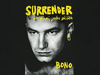 Surrender: 40 písní, jeden píbh