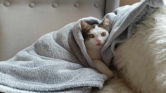 Jiinka m pesn rok od nlezu tu nejlep pi, milujc domov a je astn.