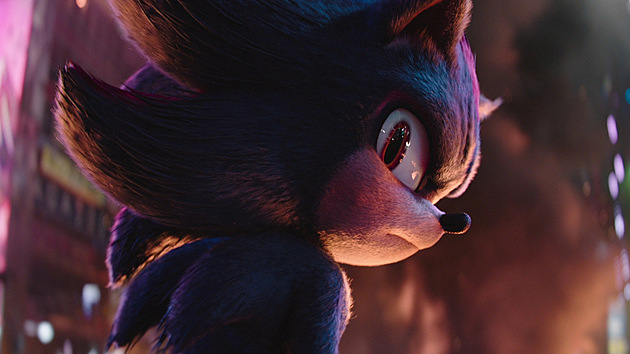 Je�ek Sonic 3