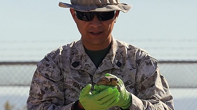 Voj�ci v Kalifornii pom�haj� arm�dn�m �elv�m.