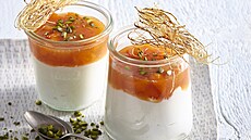 Dom�c� meru�kov� jogurt