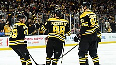David Pastr�ák se spoluhrá�i z Boston Bruins slaví trefu proti New York...