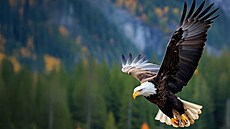 Orel blohlavý u také své horí asy pekonal a od roku 2008 je ze seznamu...