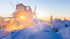 Paprsky slunce se odrá�ejí od zmrzlé sn�hové krusty zpátky do o�í a ty slzí....