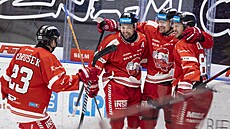 Olomou�tí hokejisté slaví gól do litvínovské brány.