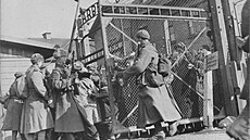Sov�t�tí vojáci otevírají brány koncentra�ního tábora Osv�tim a osvobozují...