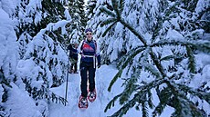 V hlubokém údolí Klínového potoka panuje úpln jiná atmosféra ne na hebenech....