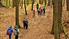 ilustra�ní snímek