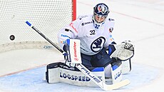 Za plzeského brankáe Dávida Hrenáka proniká puk vyslaný Aleem Jerglem.