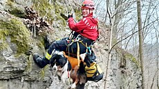 Australský ovák uvázl na vyhlídce ve skalní stn, odkud mu museli pomoci...