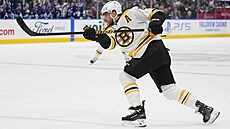 David Pastr�ák st�ílí na branku Toronta.