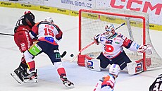 Pardubický branká� Roman Will v akci.