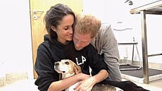 Meghan s princem Harrym a psem Guyem