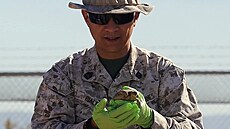 Vojáci v Kalifornii pomáhají armádním �elvám.