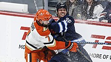 Morgan Barron (36) z Winnipeg Jets a Radko Gudas (7) z Anaheim Ducks bojují u...