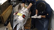 Zamstnanci sushi restaurace odezávají hlavu 276kilogramového tuáka...