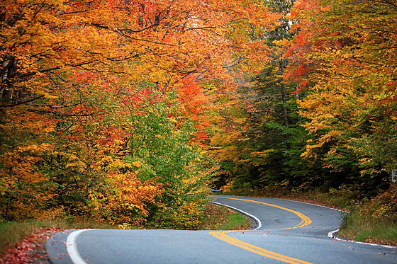 V idylickém Vermontu, pesnji eeno v Rutlandu, jdou jet o kousek dál....