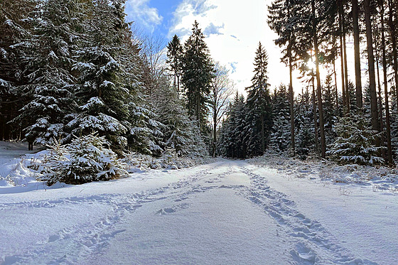 �erstv� zasn�ená cesta mezi Medlovem a Paseckou skalou