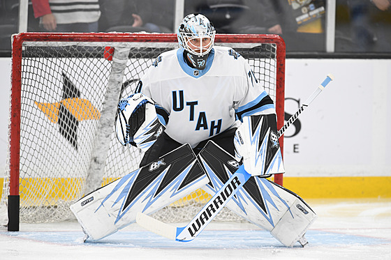 �eský gólman Karel Vejmelka kryje brankovi�t� Utahu.