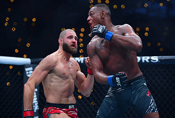 Ji�í Procházka bojuje proti Ameri�anovi Jamahalu Hillovi na turnaji UFC 311 v...