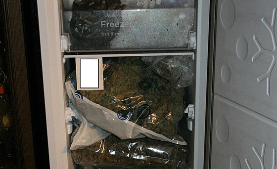 Dealer ukrýval marihuanu i v lednici.