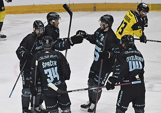 Hokejisté Sparty slaví dal�í gól v síti Litvínova.