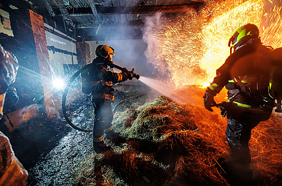 ilustra�ní snímek