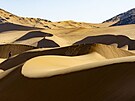 Prezident Petr Pavel na sedma�ty�icátém ro�níku Rallye Dakar 2025, který se...