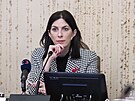 Poslanecká snmovna seminá k problematice zahraniního vmování do volebního...