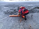 Hasii zachrnili dva psy, kte se propadli ledem do eky Oslavy pobl...