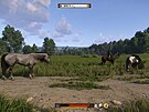 Kingdom Come: Deliverance 2