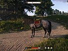 Kingdom Come: Deliverance 2