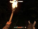 Kingdom Come: Deliverance 2